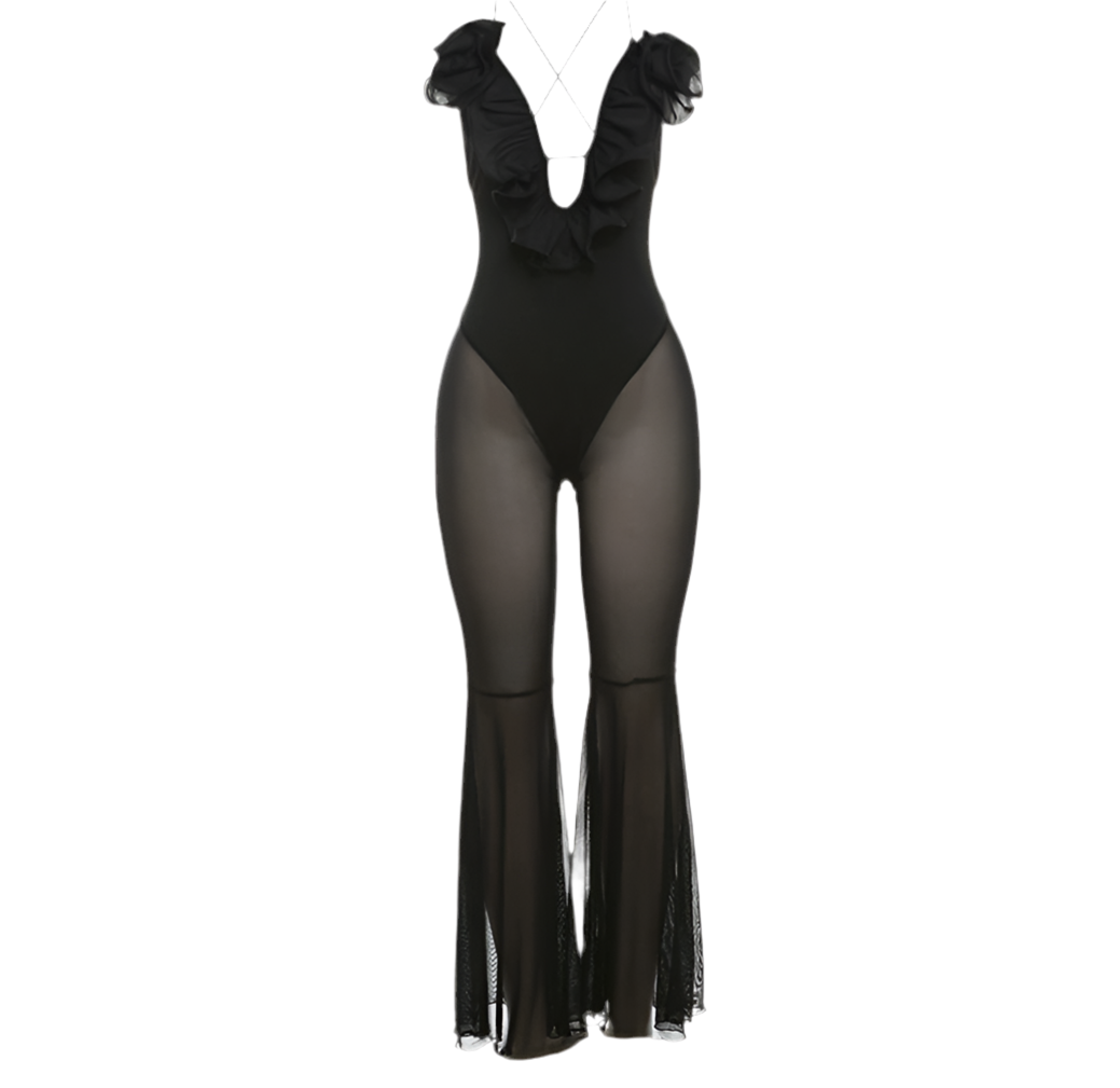 Sexy Mesh Jumpsuit