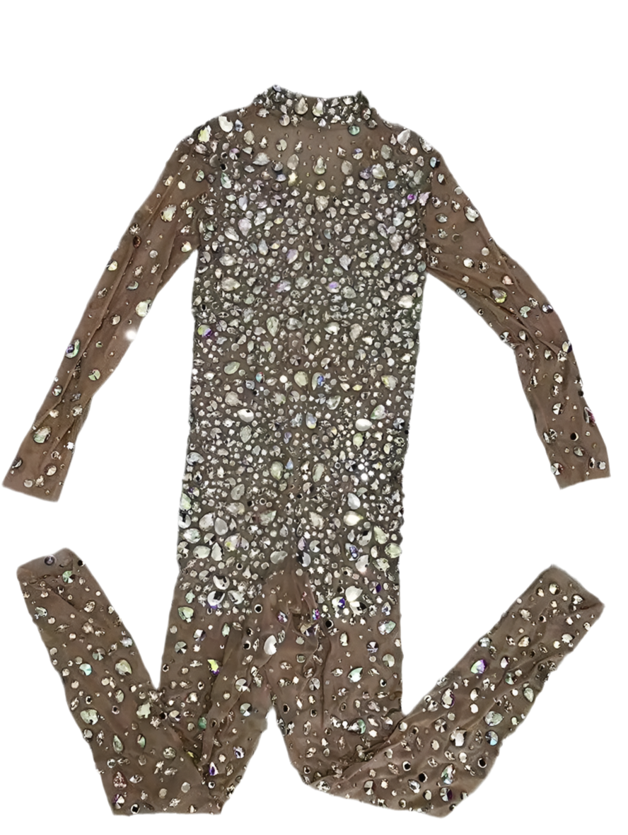 Sparkly See Through Jumpsuit