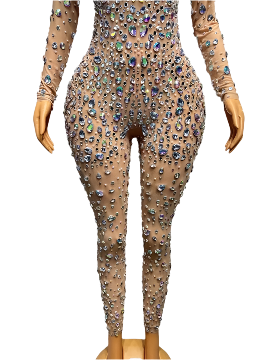 Sparkly See Through Jumpsuit